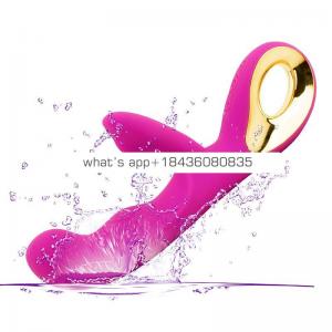 10 Mode Two Motor Sex Vibrator Female Sex Toys Pictures